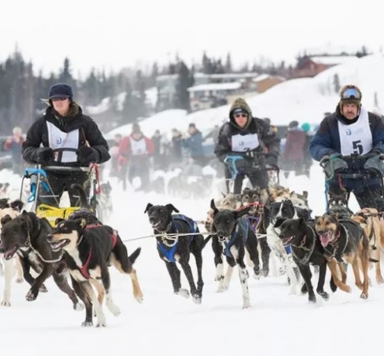 狗拉雪橇比赛 | The Canadian  Champion Dog Derby